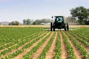 Reducen el IVA a la energía para riego y buscan aliviar costos del agro sanjuanino