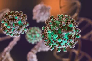 Hantavirus: por qué es diferente al Covid-19