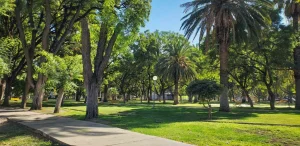 San Juan inició la resiembra otoñal en espacios verdes del microcentro y avanza con obras en parques emblemáticos