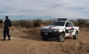 Cinco accidentes y 20 caballos secuestrados: el problema que persiste en las rutas