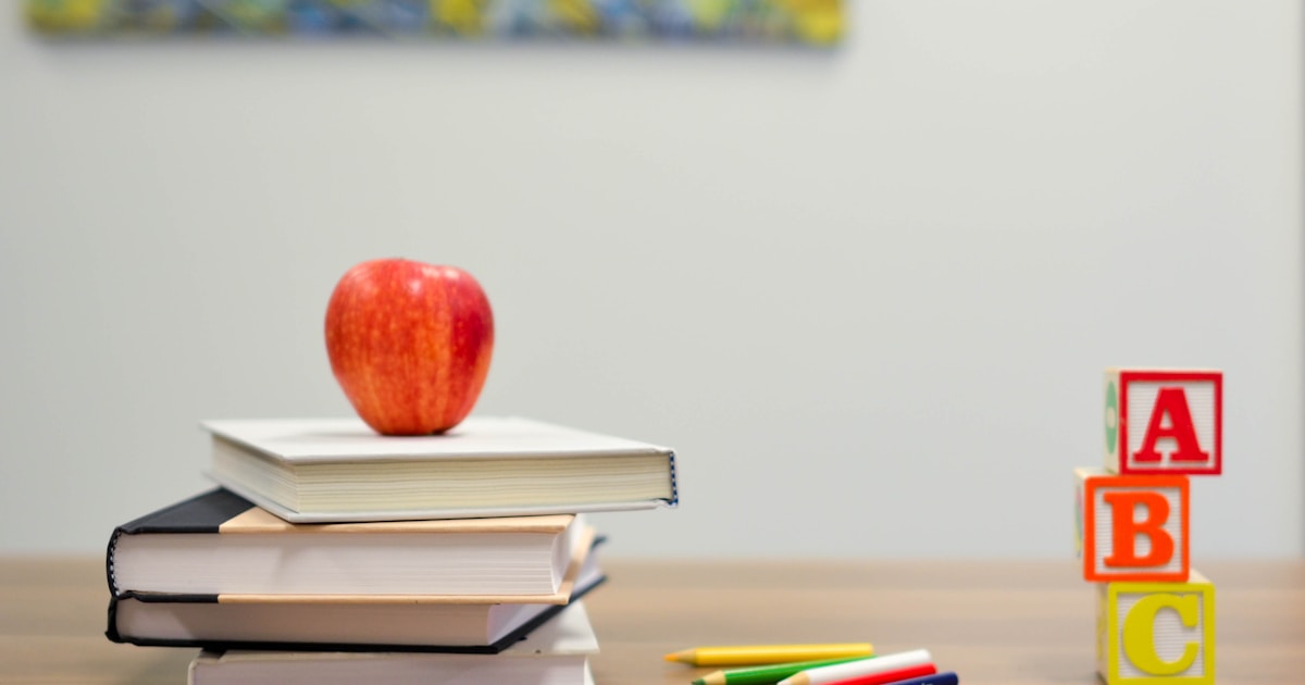 Educacion: presentan programa de alfabetizacion digital para escuelas rurales