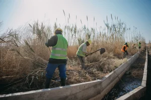 Hidráulica acelera la limpieza de canales en San Juan y prioriza zonas críticas del sistema de riego