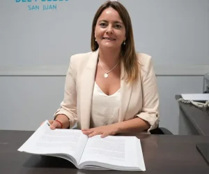 Preocupación por el transporte gratuito: advierten que la quita de subsidios podría afectar a personas con discapacidad