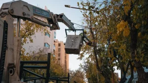 Feriado del 20 de junio: así será el funcionamiento de los servicios en Capital