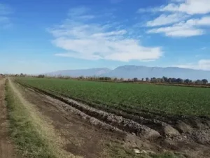 San Juan, entre las provincias con más tierras rurales en manos extranjeras mientras el Senado debate eliminar los límites