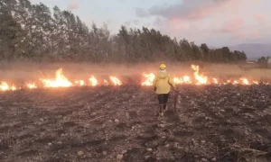 El viento Zonda desató una jornada crítica: Bomberos combatió unos 35 incendios y el fuego arrasó ocho propiedades