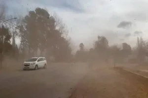 El viento Zonda provocó 30 incendios en San Juan