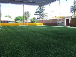 RCP, desfibriladores y controles: el pedido para mejorar la seguridad en espacios deportivos
