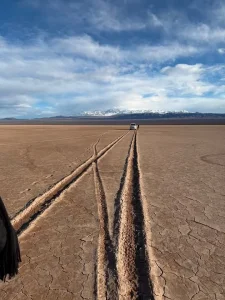 Pampa El Leoncito: el conductor de la 4x4 podría recibir una multa millonaria y realizar trabajos comunitarios
